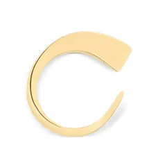 Скульптурное кольцо Скульптурное кольцо