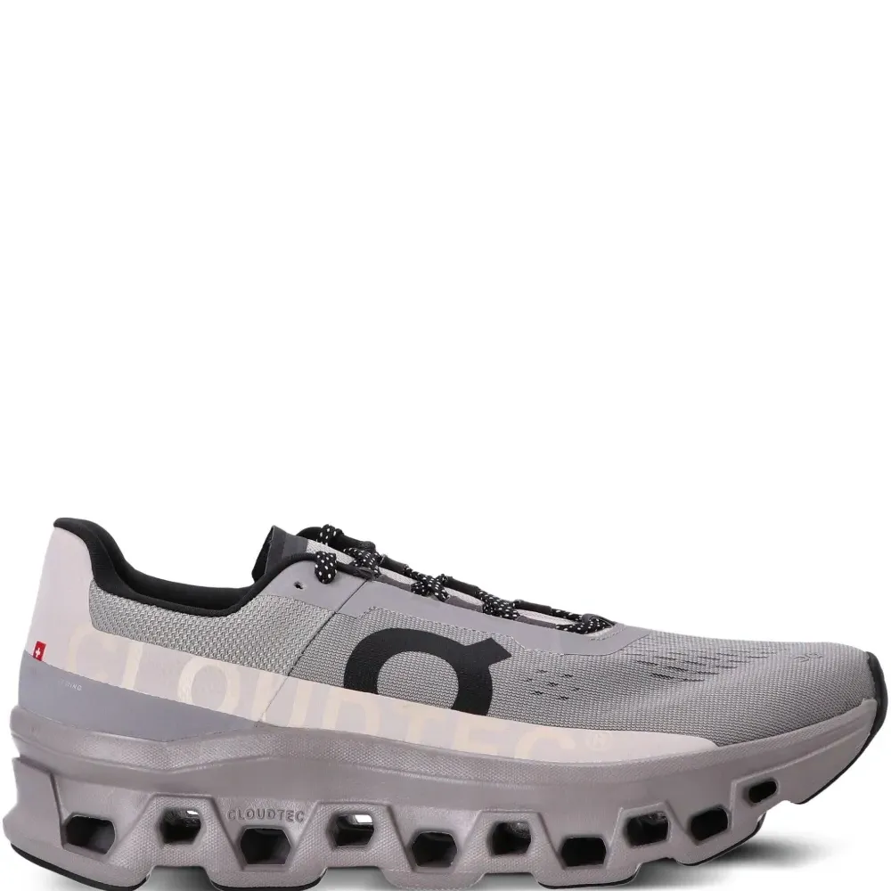 Кроссовки Cloudmonster Alloy Silver