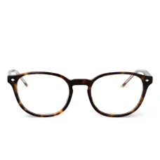 Очки в оправе панто