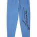 Спортивные брюки Blue с принтом