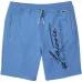 Спортивные шорты Blue с принтом