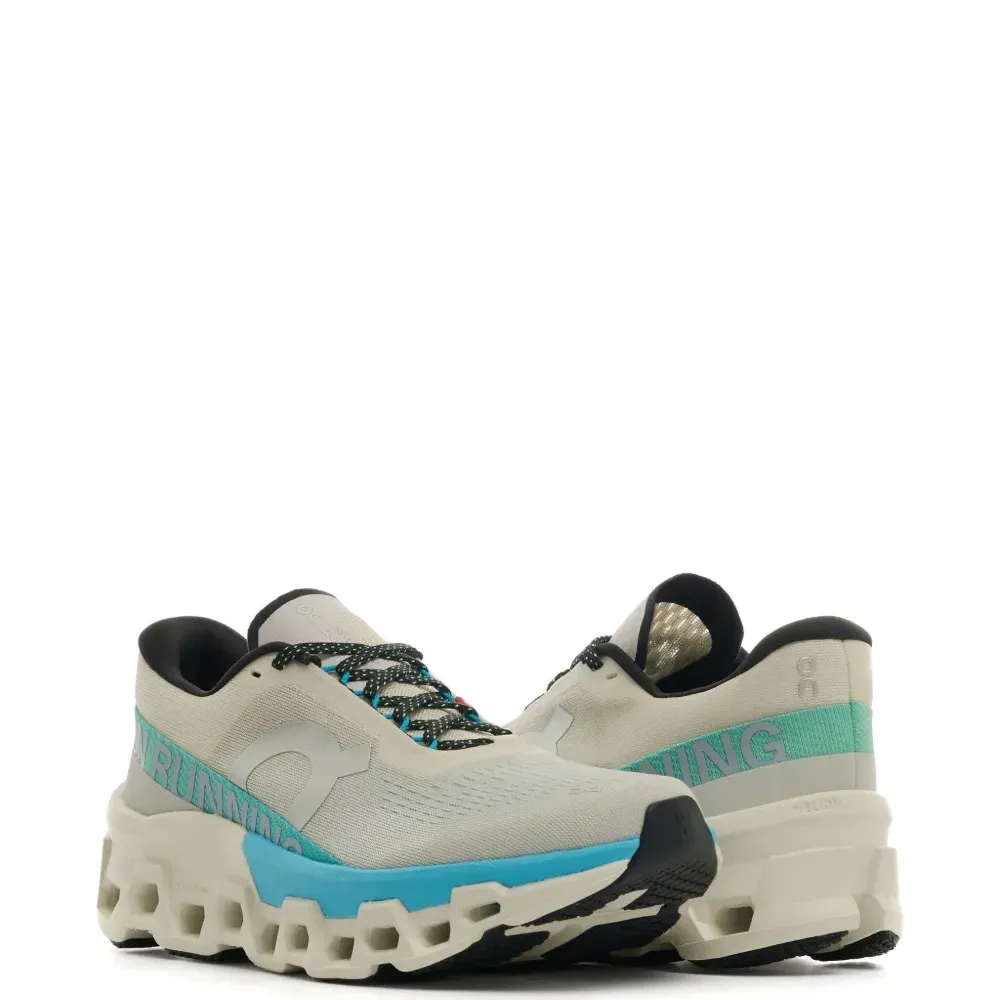 Кроссовки W Cloudmonster