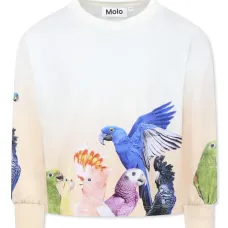 Толстовка с графичным принтом Толстовка с графичным принтом