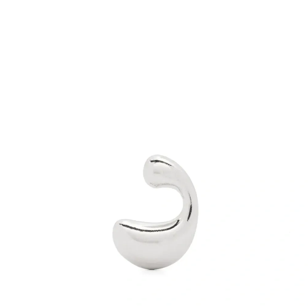 Dolphin Splash earring