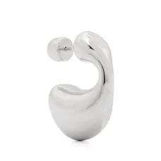 Dolphin earring