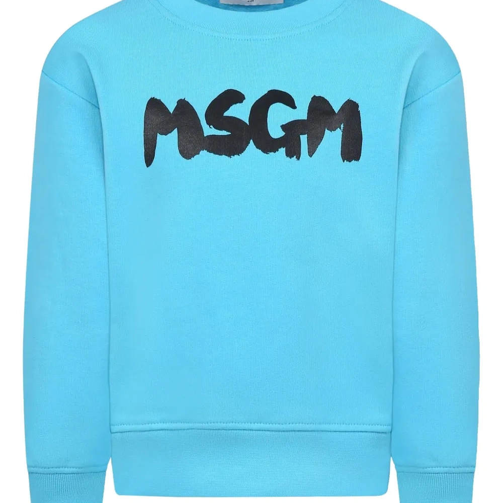 Толстовка с логотипом