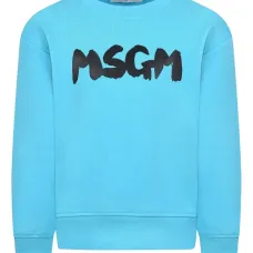 Толстовка с логотипом Толстовка с логотипом