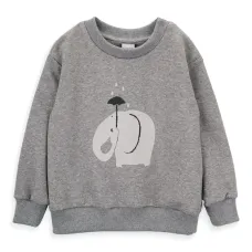 Толстовка Elephant