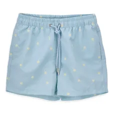 плавки-шорты Brodhie