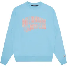 Толстовка Arch Logo