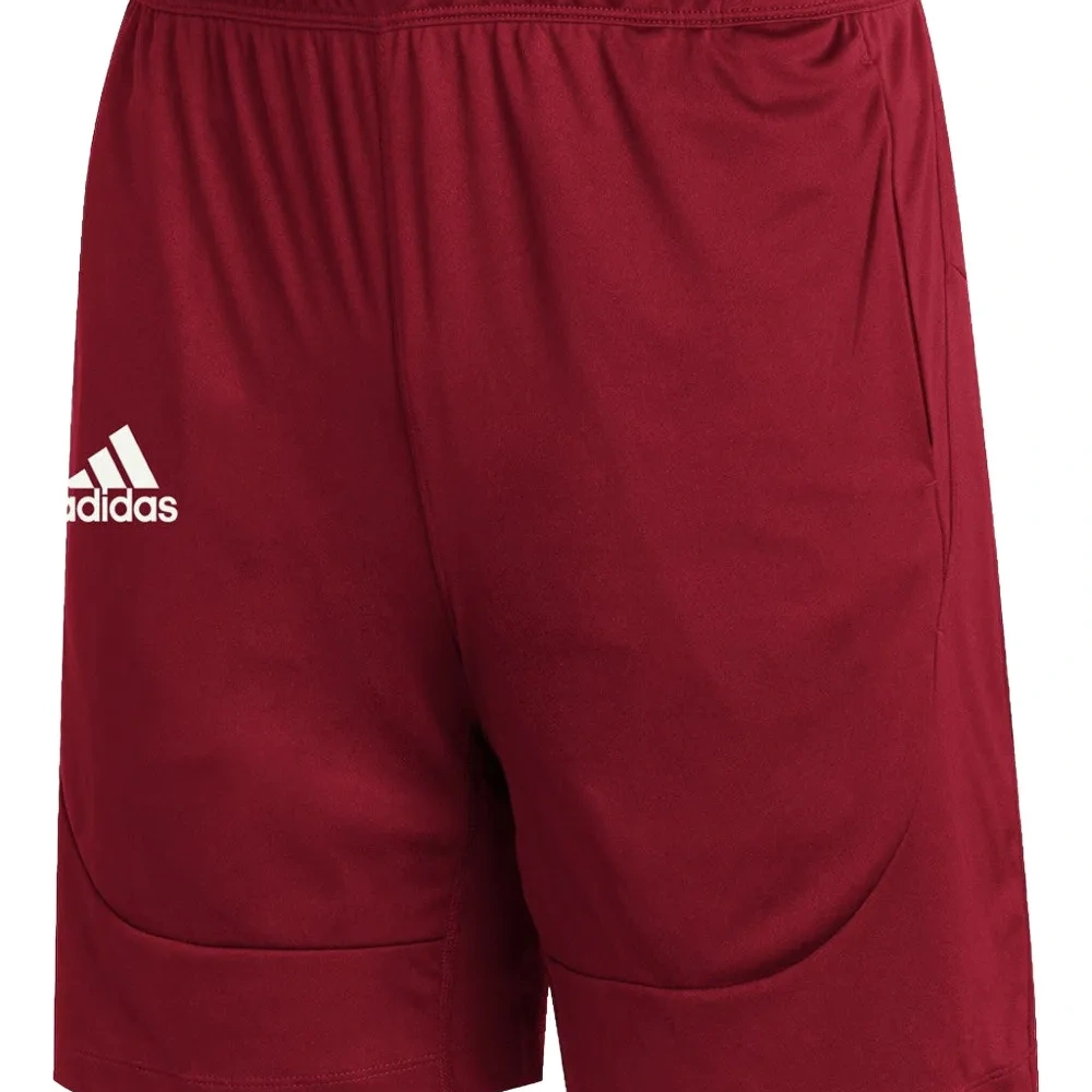 Шорты Sideline 21