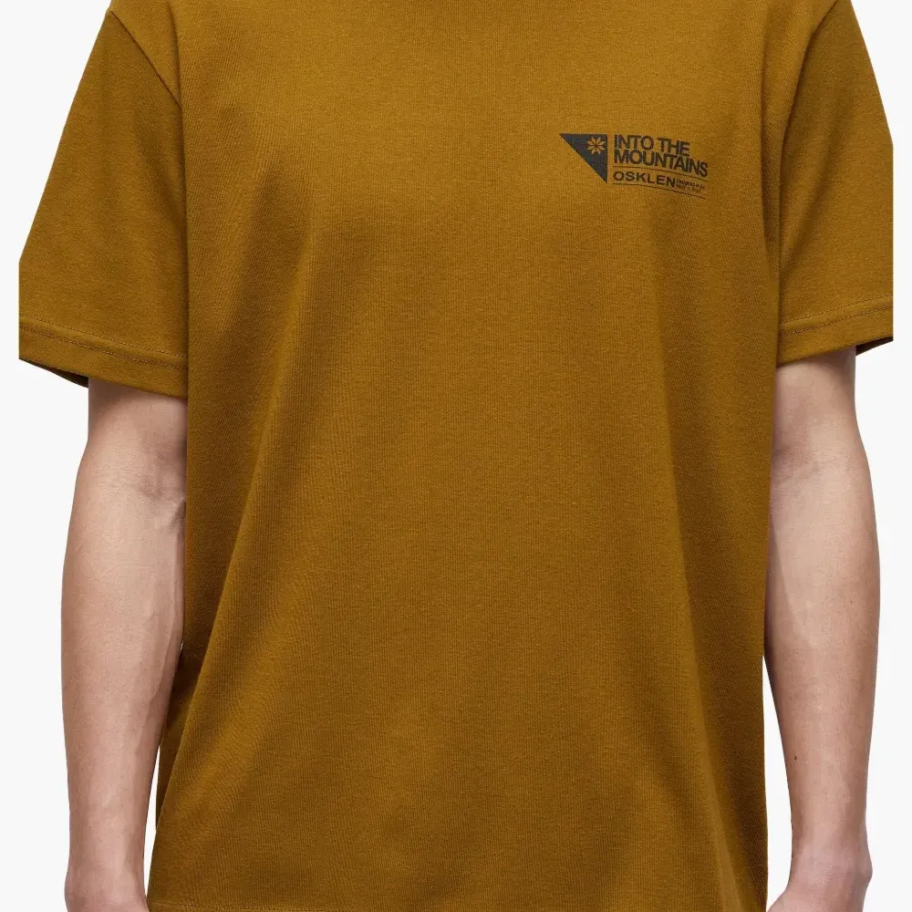 Футболка Into the Mountains