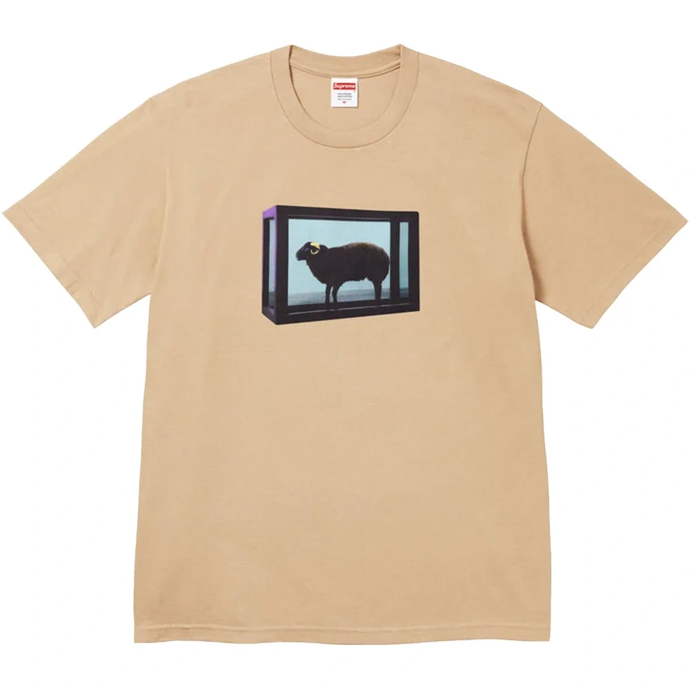 Футболка с принтом из коллаборации с Damien Hirst