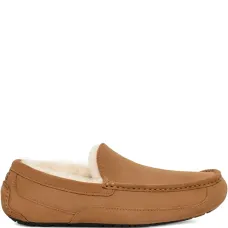 Слиперы Ascot