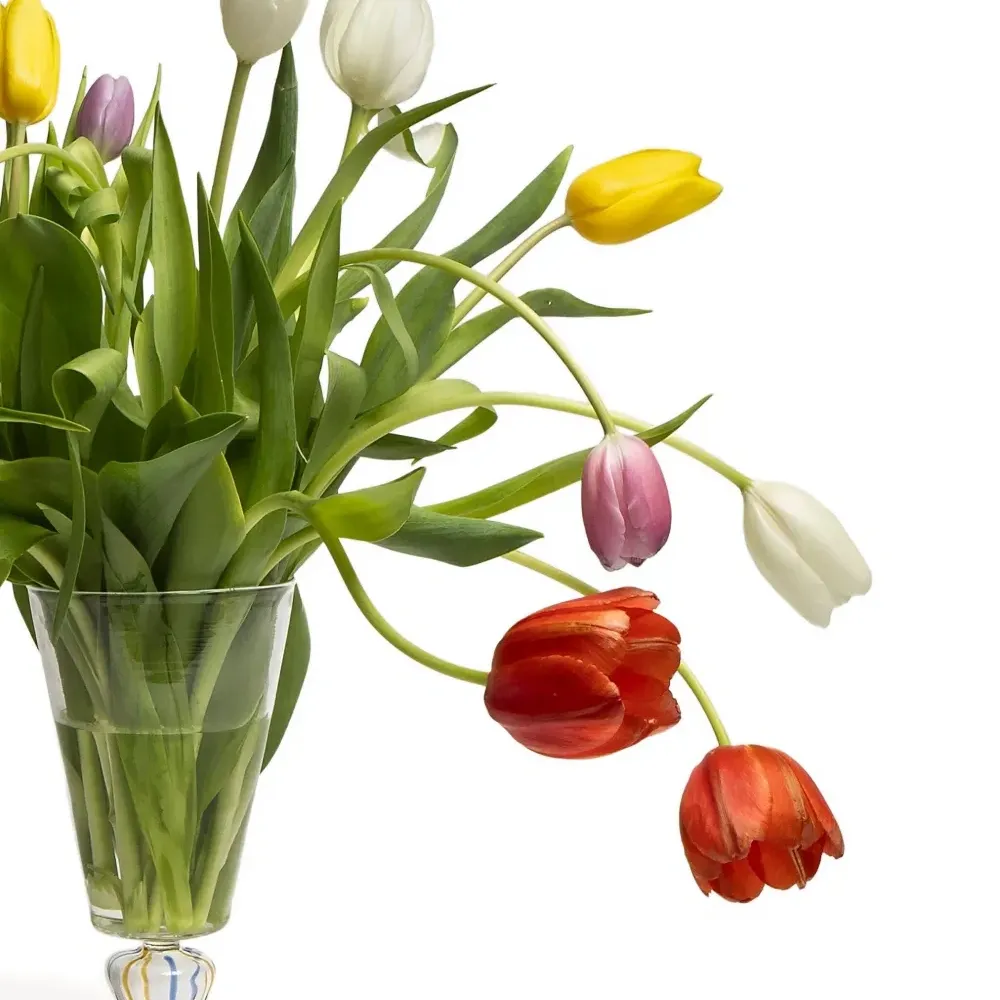 Ваза в форме цветной ножки