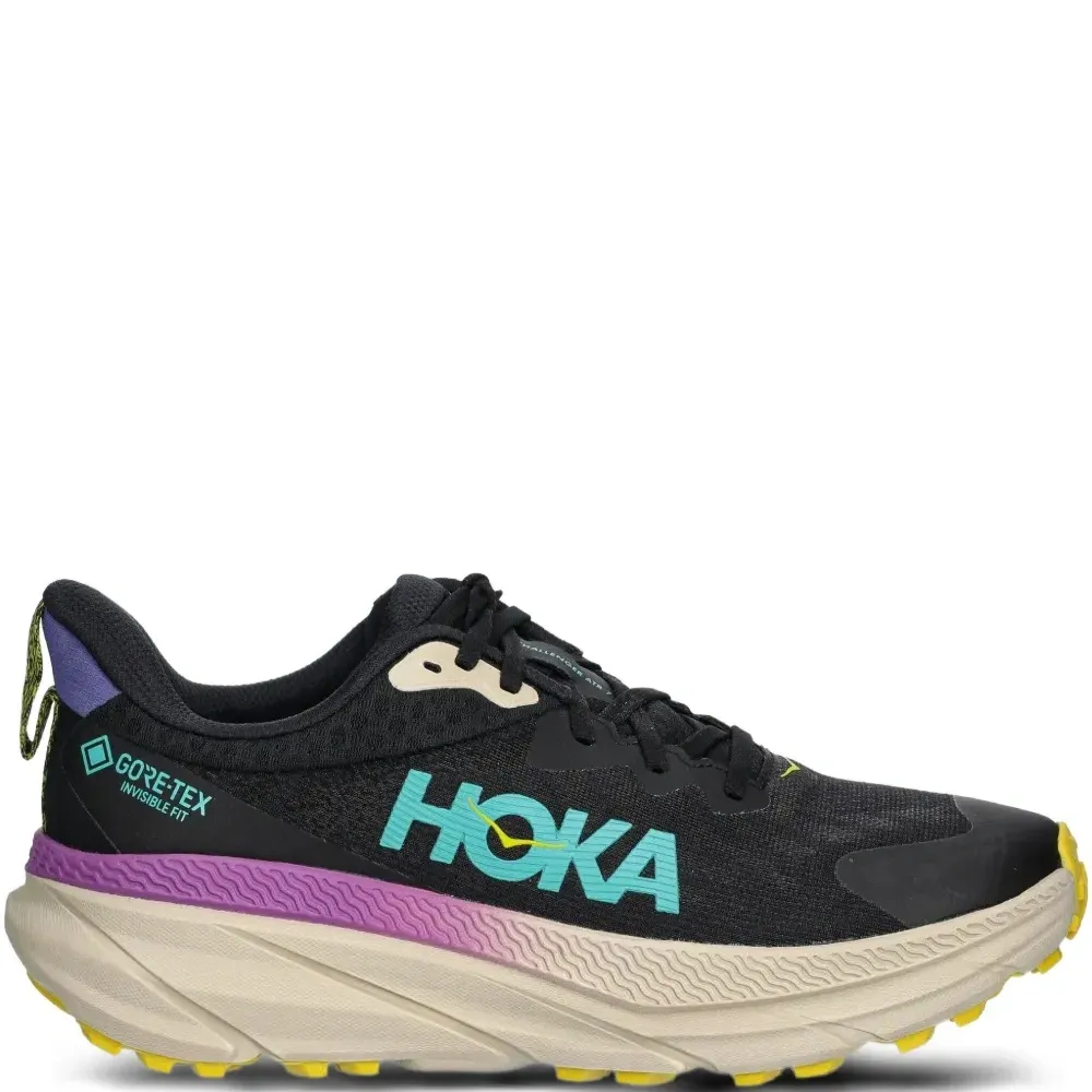 кроссовки Challenger 7 GORE-TEX