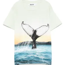 Футболка Rame