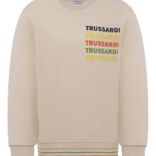 Толстовка с логотипом