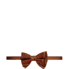 Галстук-бабочка с принтом пейсли Галстук-бабочка с принтом пейсли