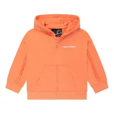 Худи с логотипом Худи с логотипом