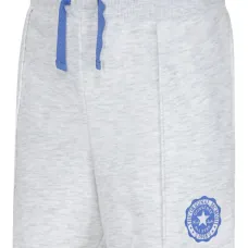 Спортивные шорты с логотипом Спортивные шорты с логотипом