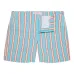 Полосатые плавки-шорты Bulldog
