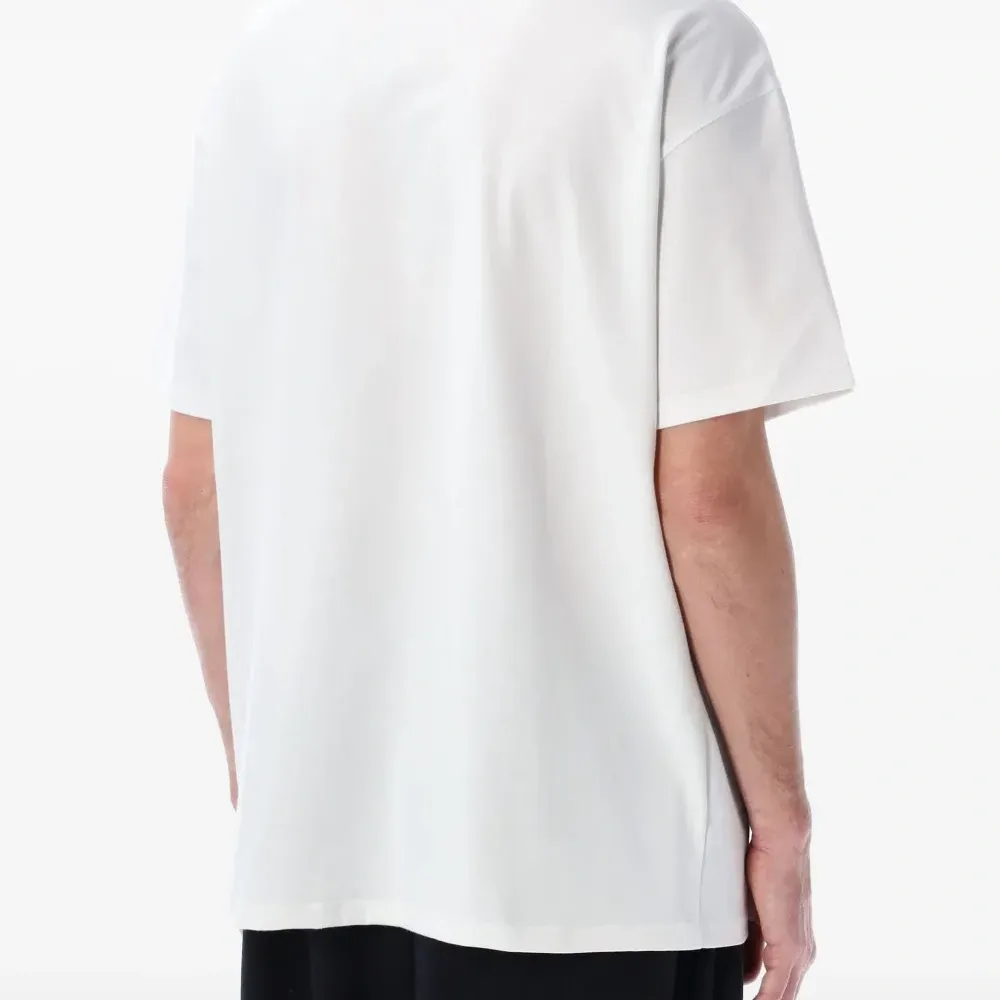 футболка ACG Iguana