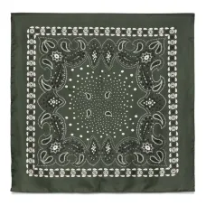 Шарф Heritage Paisley