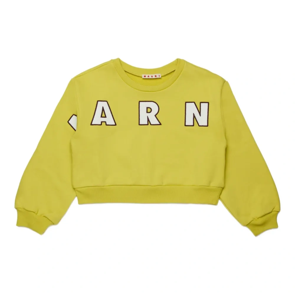 толстовка с логотипом