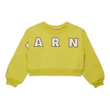 толстовка с логотипом толстовка с логотипом