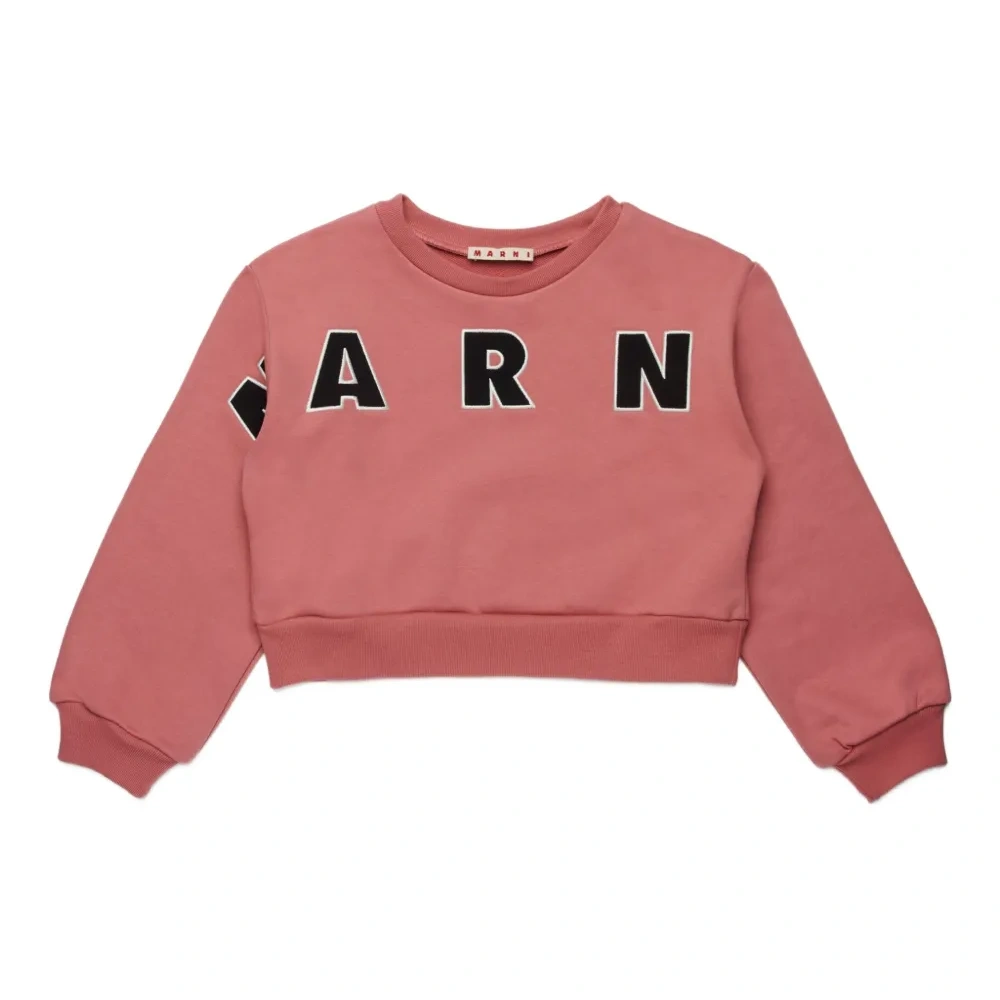 толстовка с логотипом