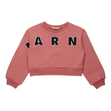 толстовка с логотипом