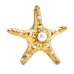 Брошь в форме звезды