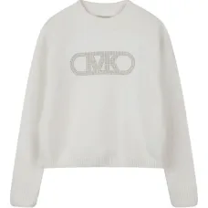 Толстовка с логотипом