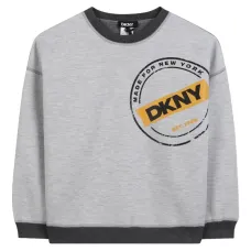 толстовка с логотипом