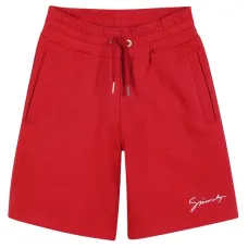 спортивные шорты с вышитым логотипом спортивные шорты с вышитым логотипом