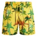 Плавки-шорты Palms Offset