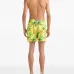 Плавки-шорты Palms Offset