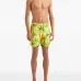 Плавки-шорты Palms Offset