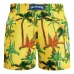 Плавки-шорты Palms Offset