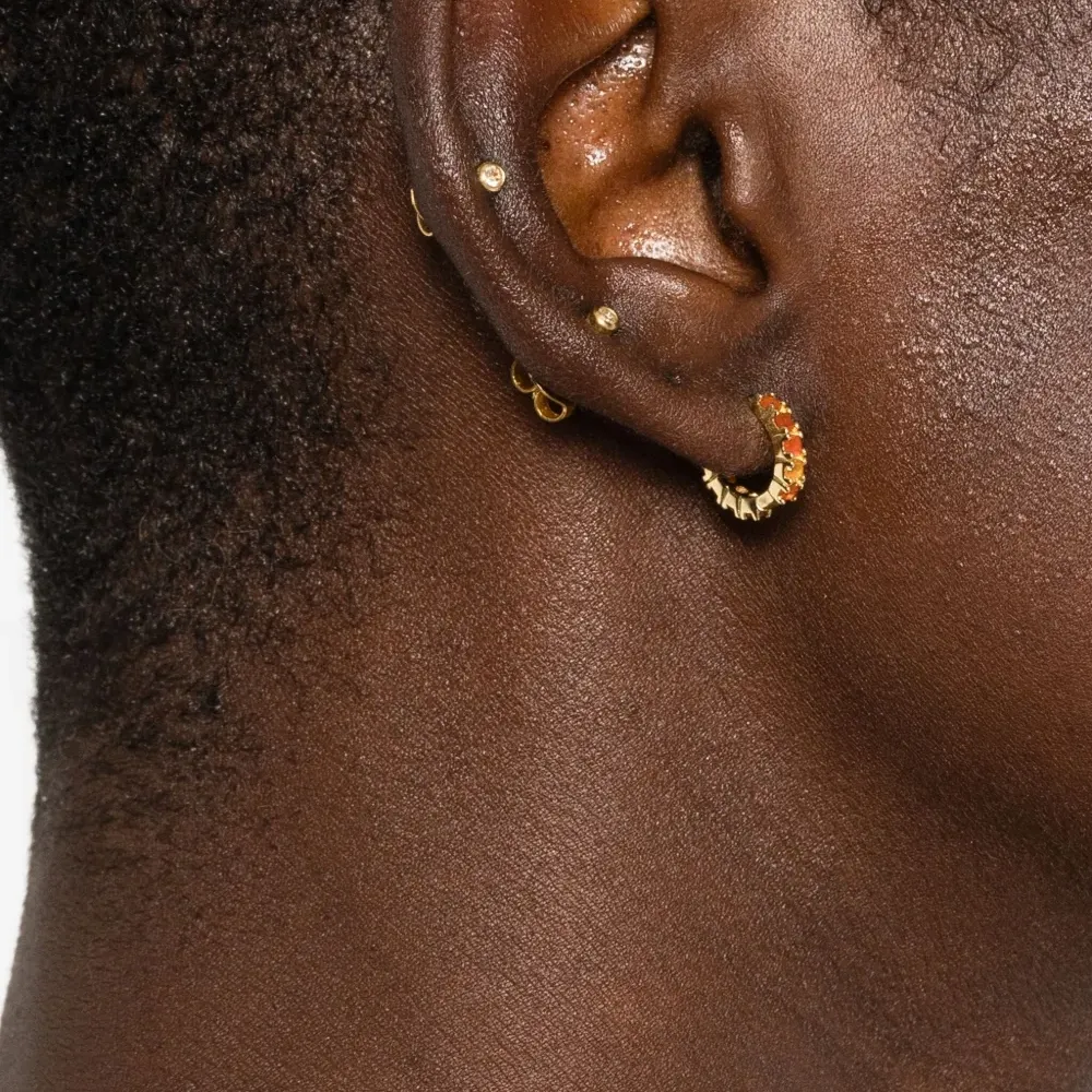 Серьги Carnelian