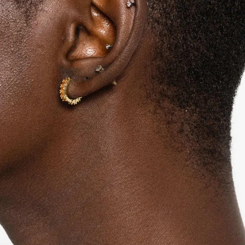 Серьги Carnelian