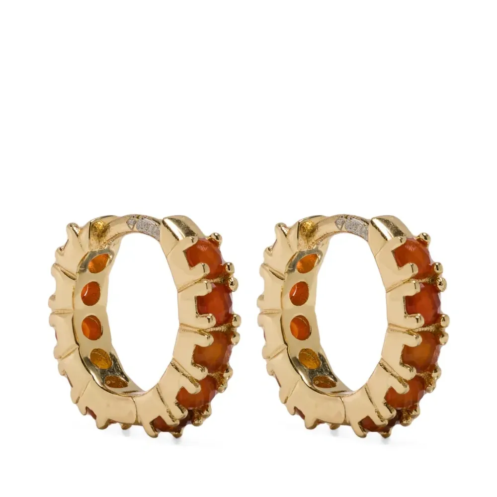 Серьги Carnelian
