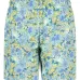 Плавки-шорты Botanica