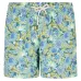 Плавки-шорты Botanica