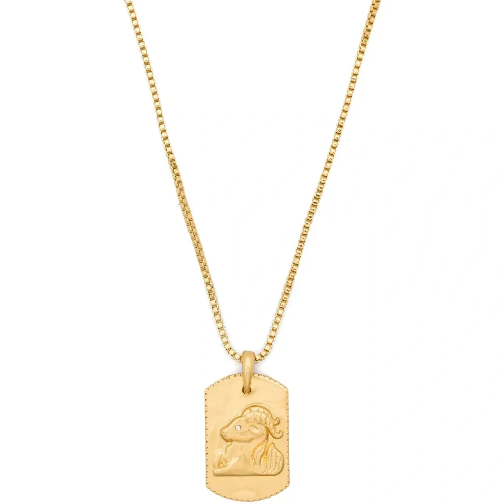 Колье Capricorn