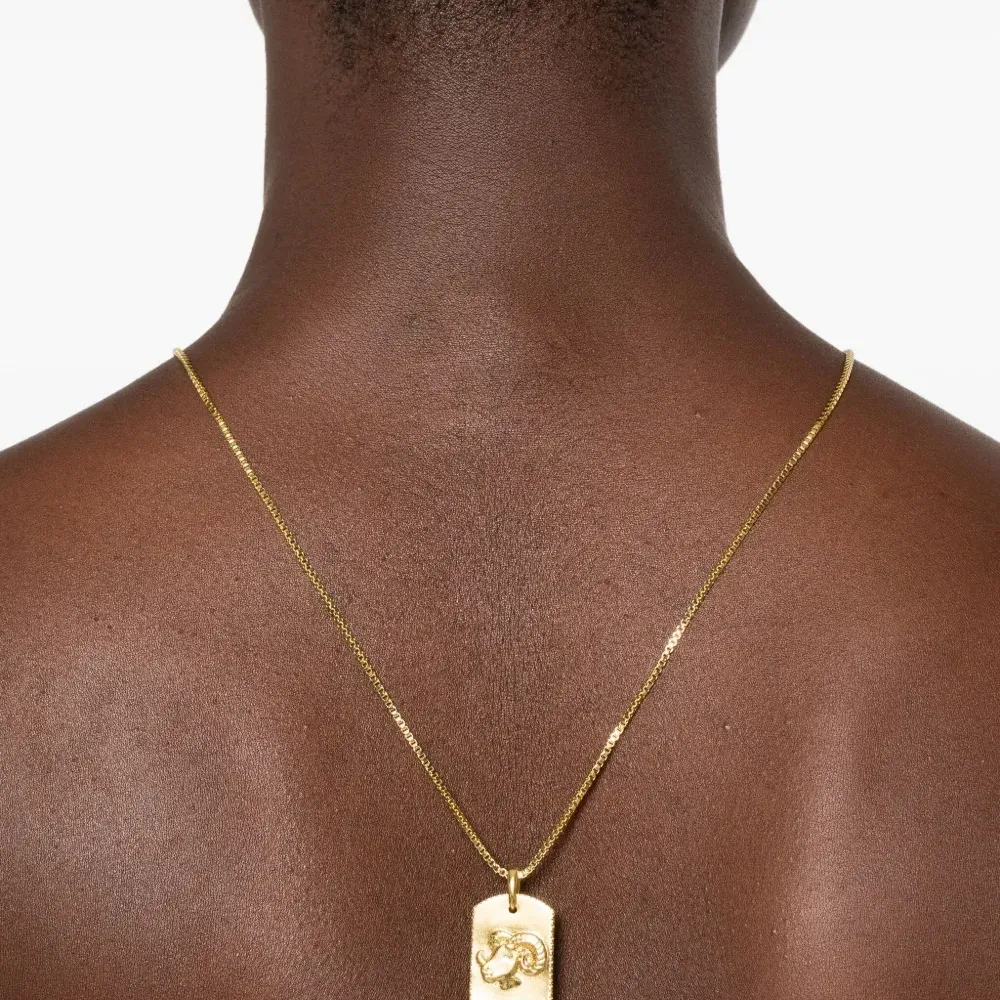 Колье с подвеской Aries