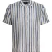 Полосатая рубашка с короткими рукавами