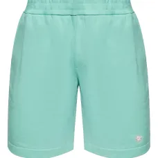 Шорты Mint Green Casual