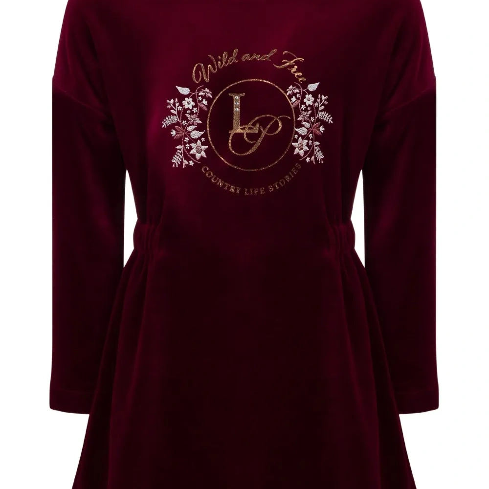 Бархатное платье с вышивкой